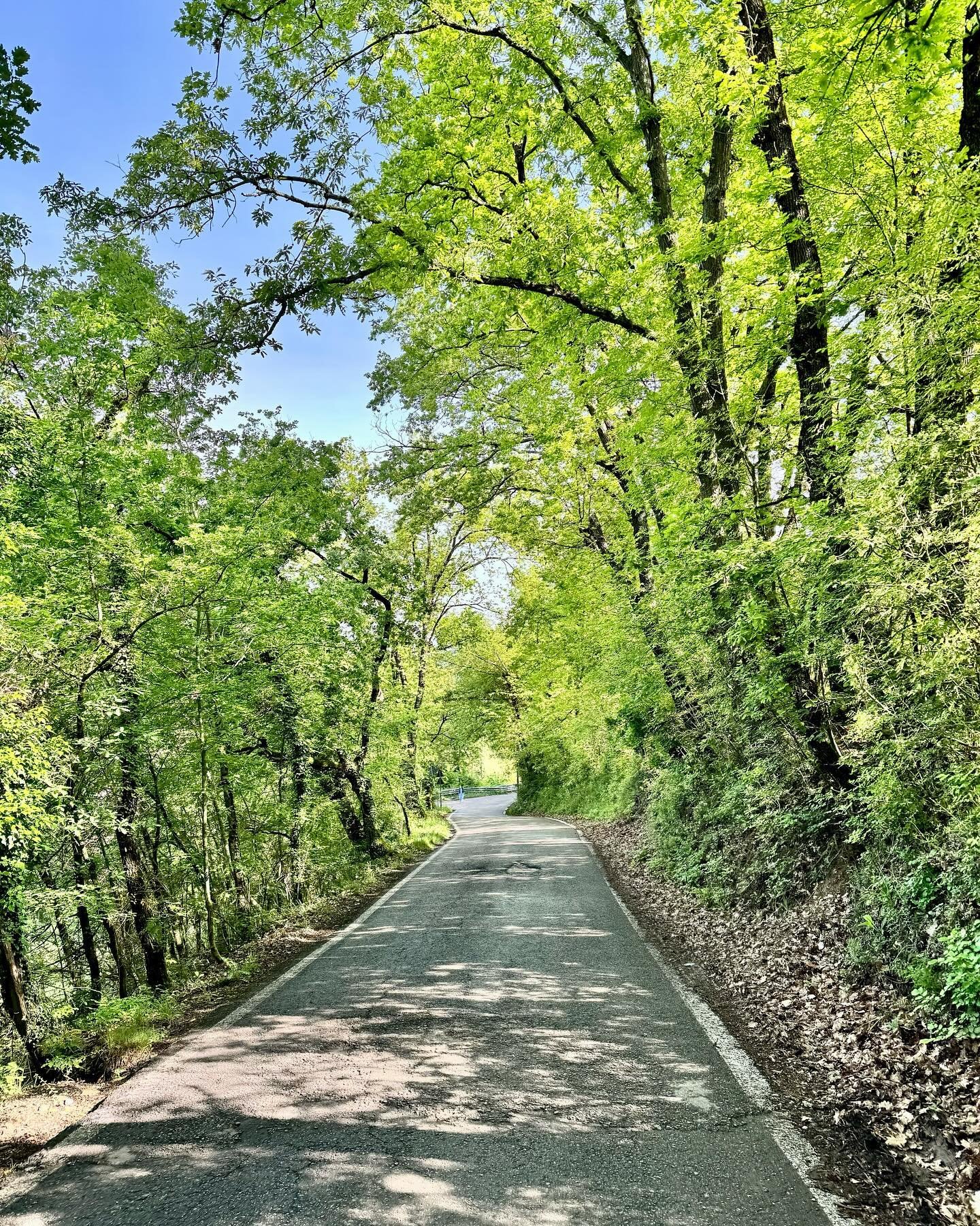 in my running era
.
.
.
#running #run #runner #tuscany #country #spring #morning #milan #blog #fitness