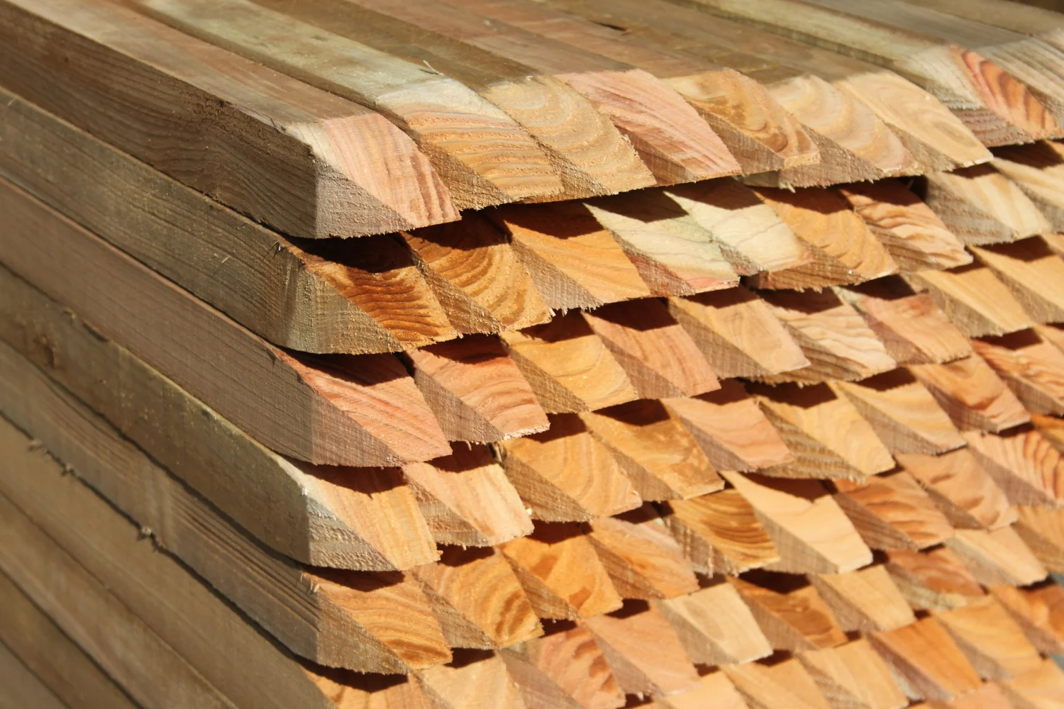 General 2 — Shopland Sawmills