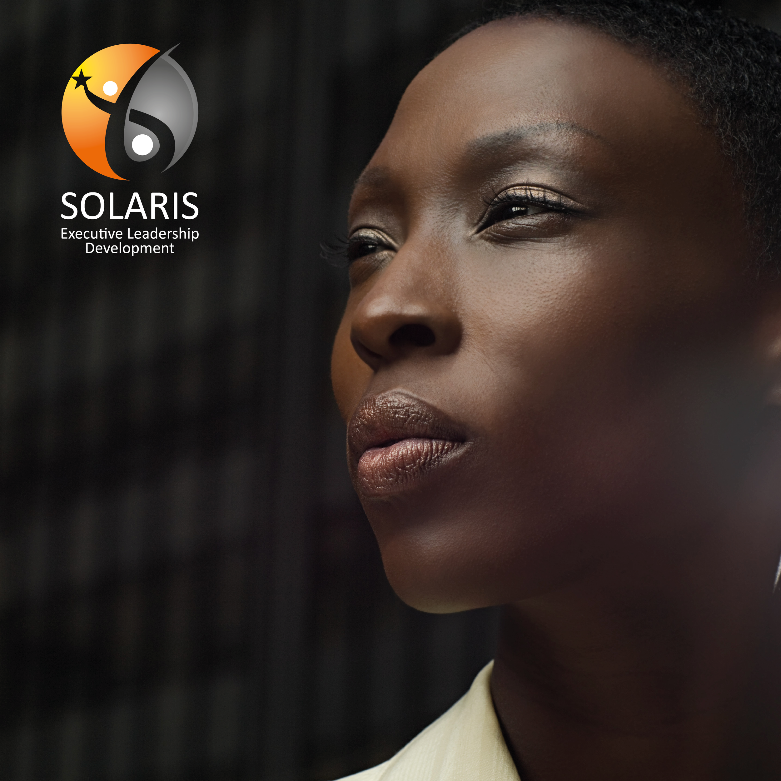 Solaris Summit Home Page Button.png