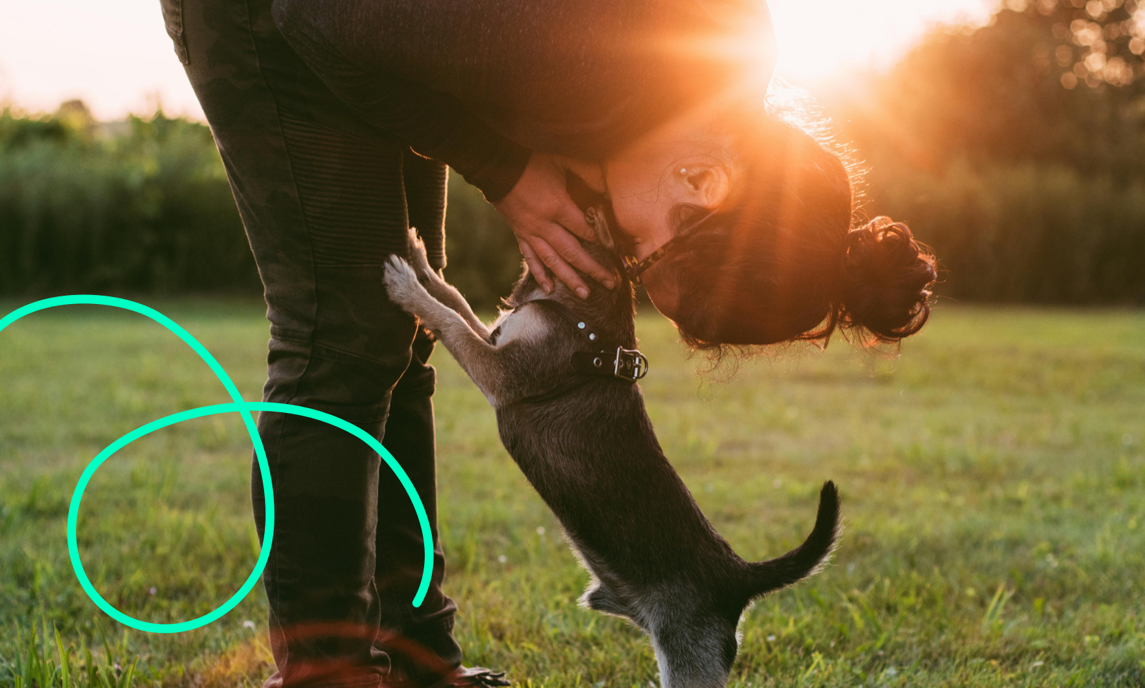 The importance of becoming PetProovd for breeders
