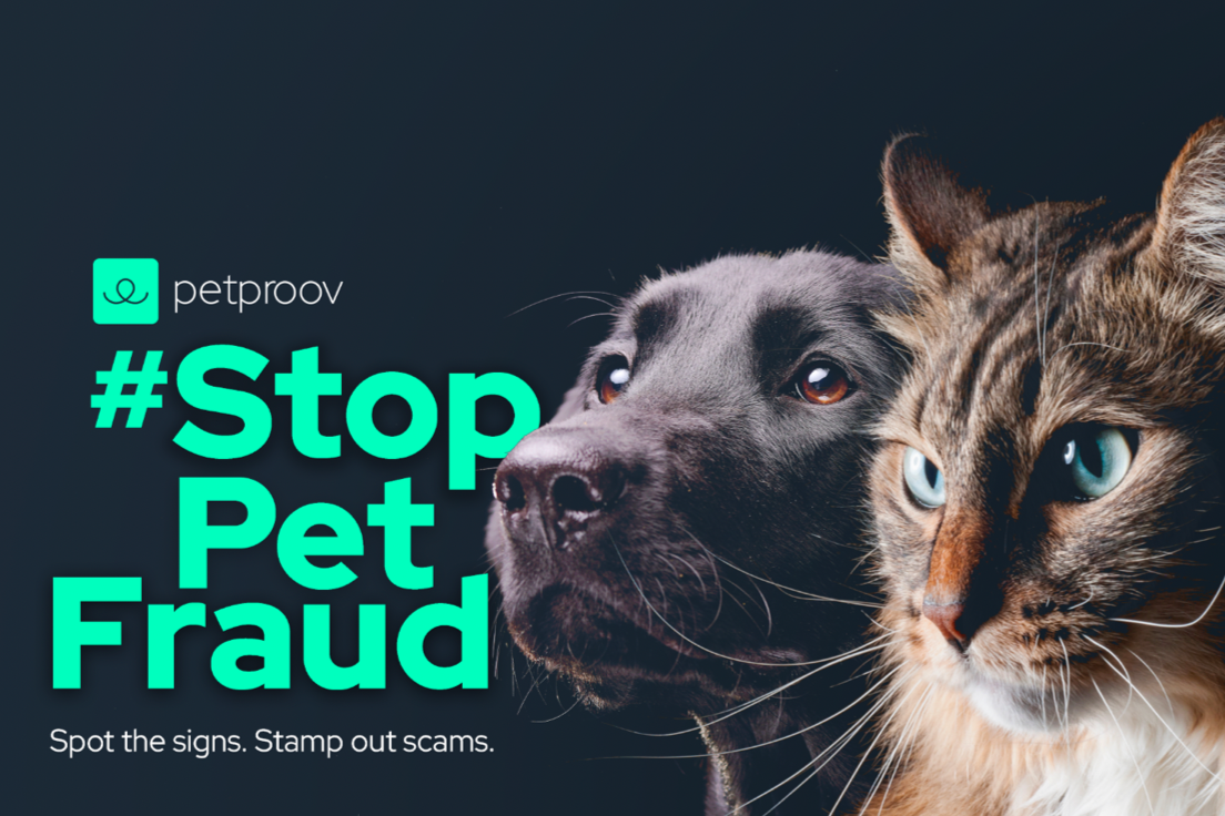 #StopPetFraud: Protect yourself from pet scams