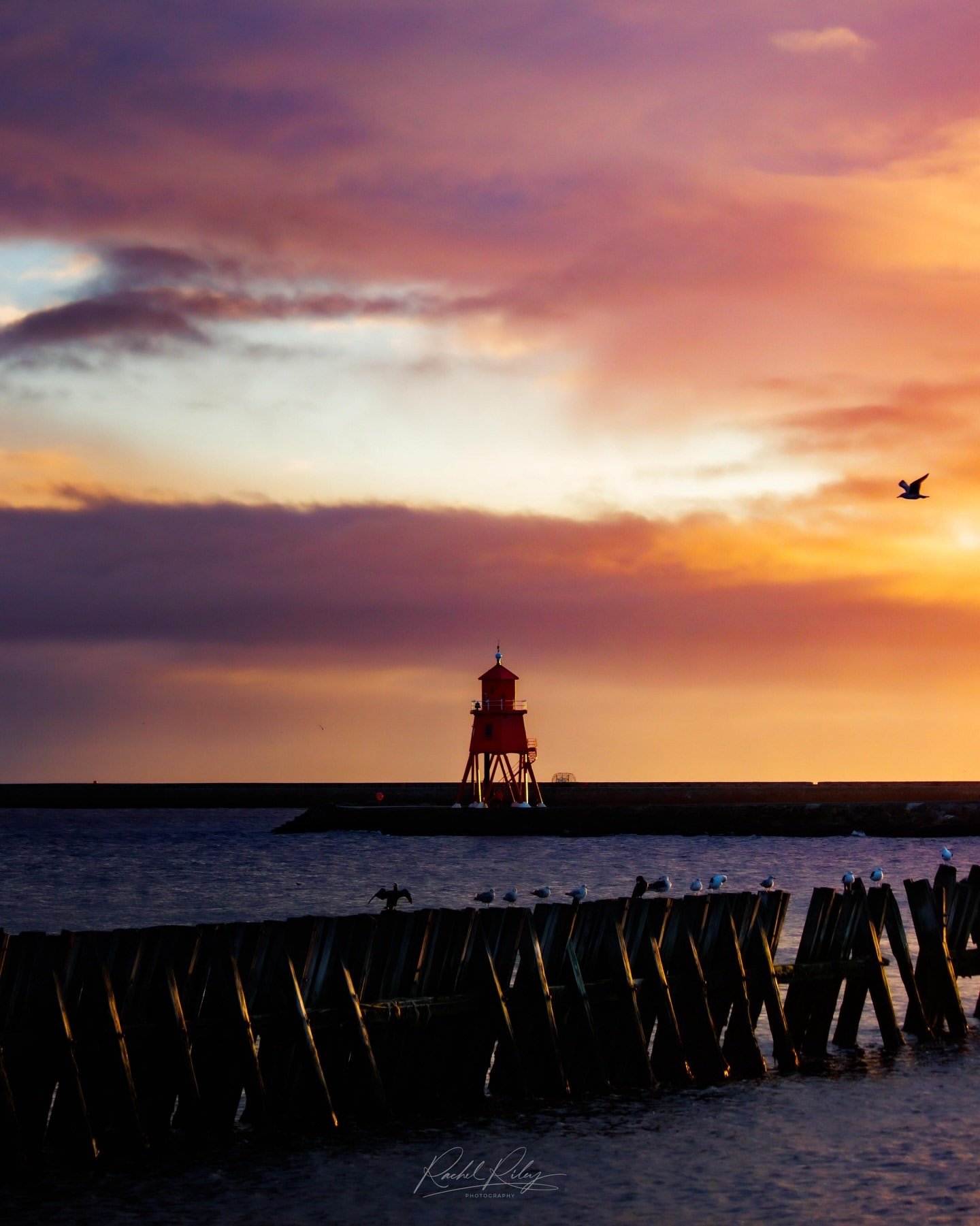 ILNS Photowalk 3                                              Sunrise Walk