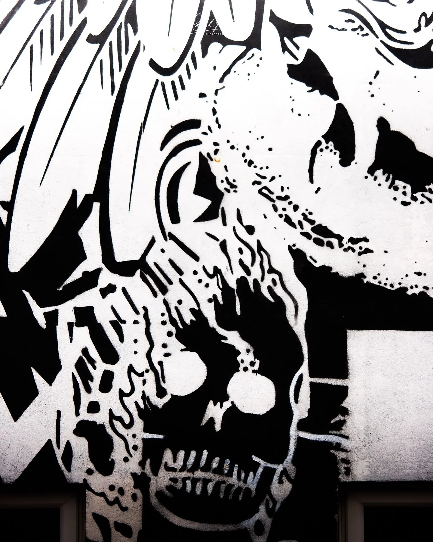 JPEG image-438B-B807-E0-10.jpeg