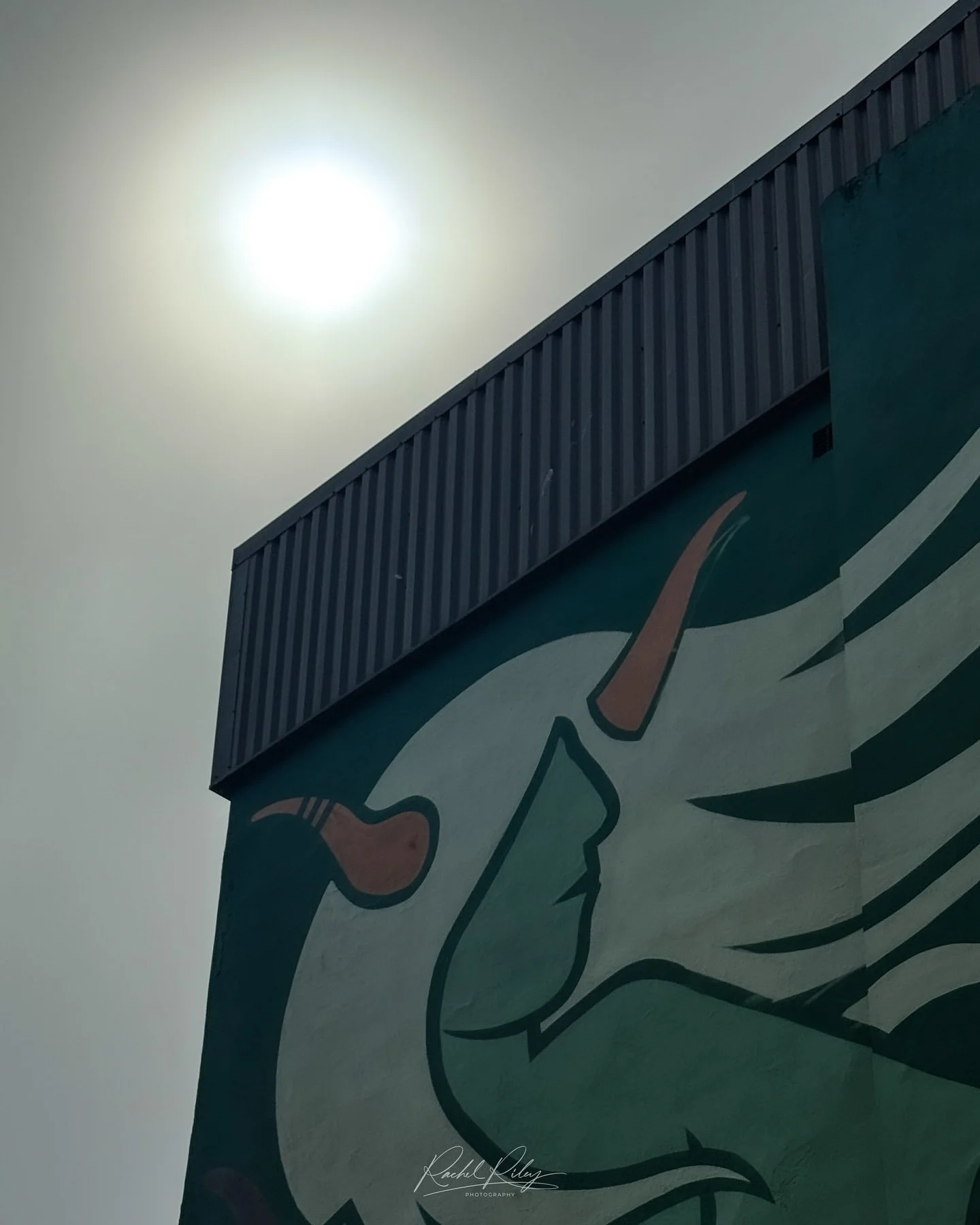 JPEG image-438B-B807-E0-7.jpeg