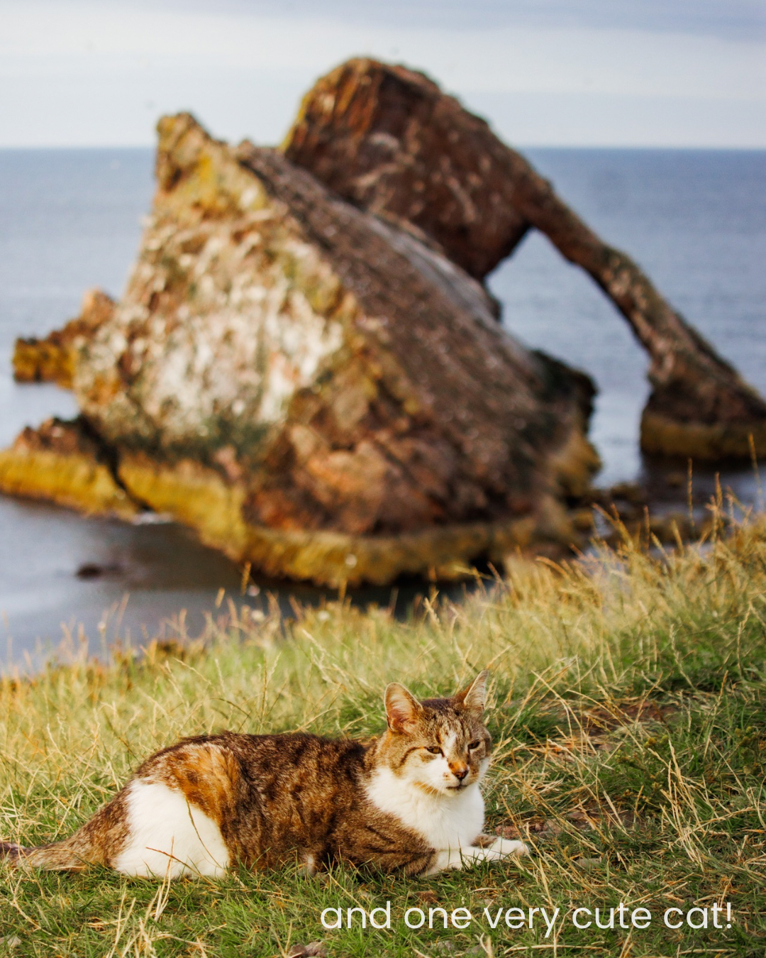 Little moments from life lately... Scotland edition - 10.png