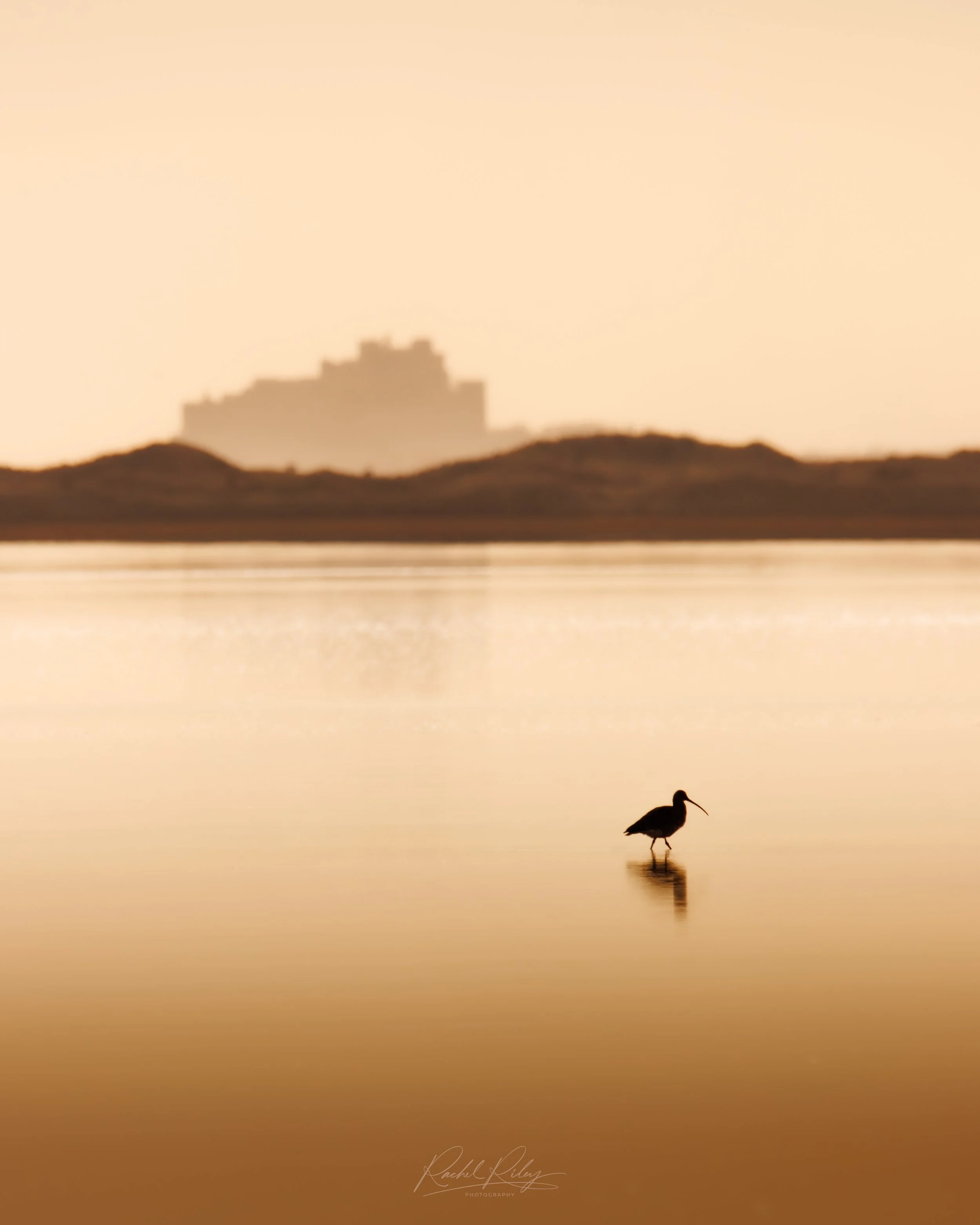 Holy Island, Northumberland, UK