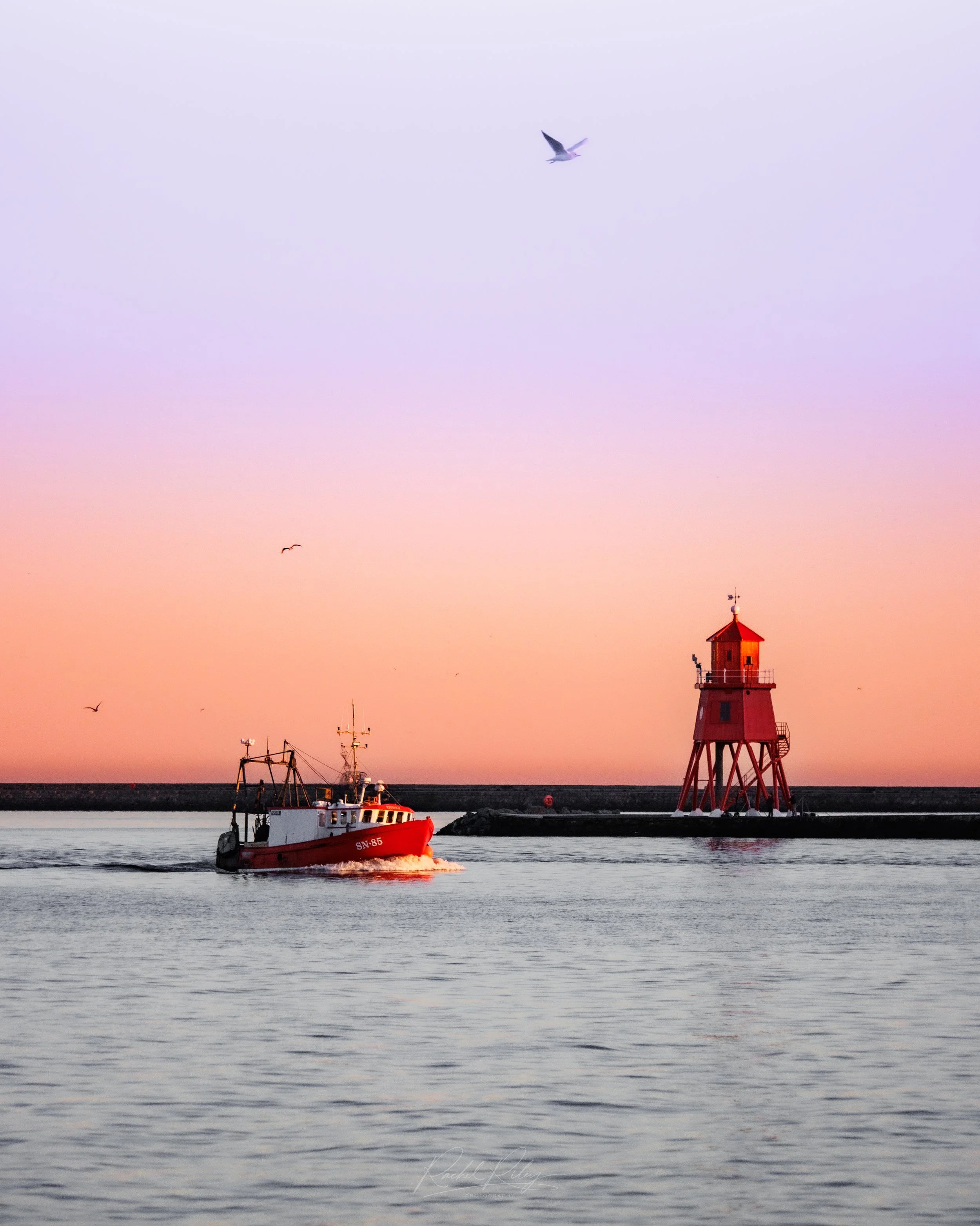 The Herd Groyne from North Shields, North Tyneside, UK