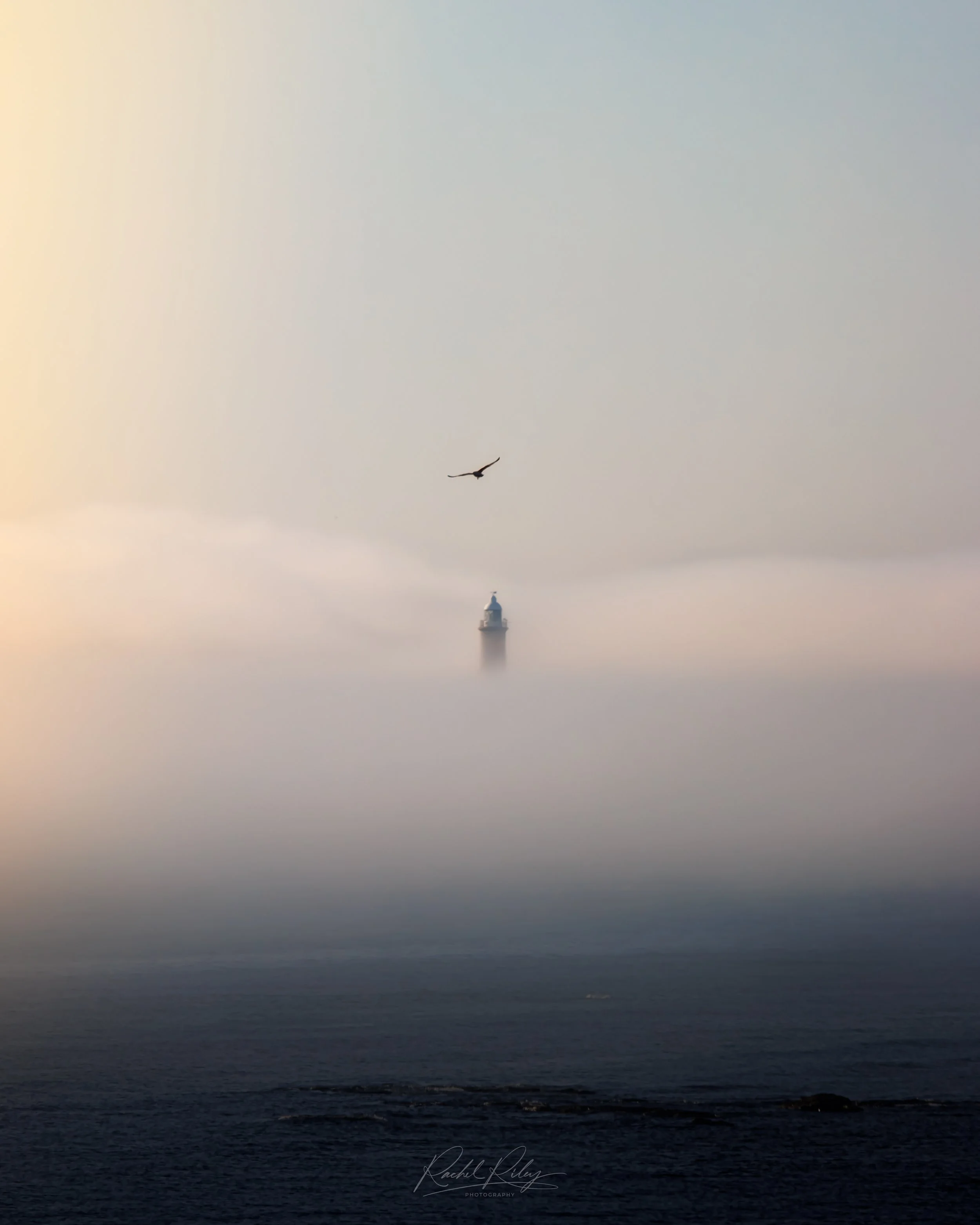 Longsands Beach, Tynemouth, UK