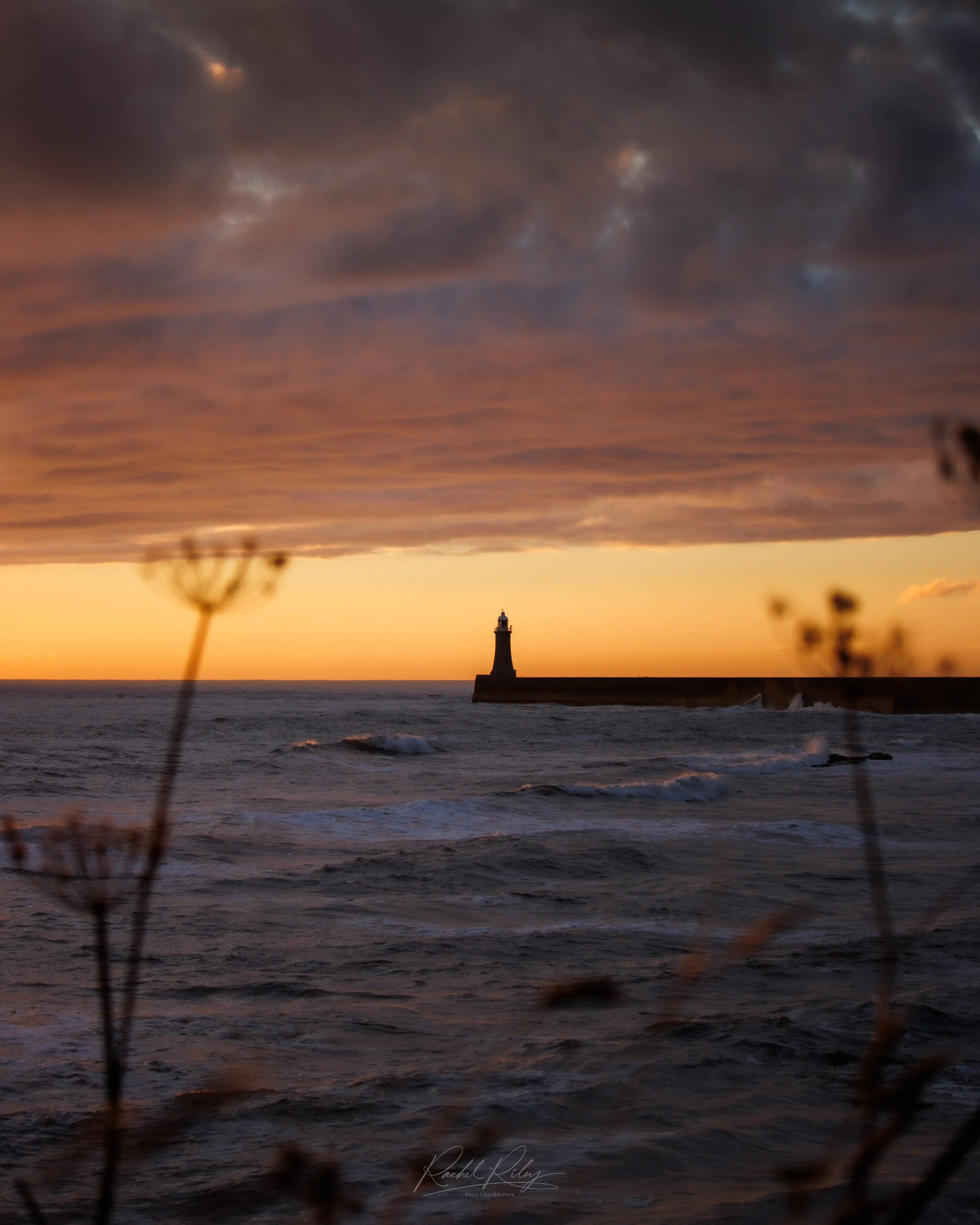 King Edward’s Bay, North Tyneside, UK