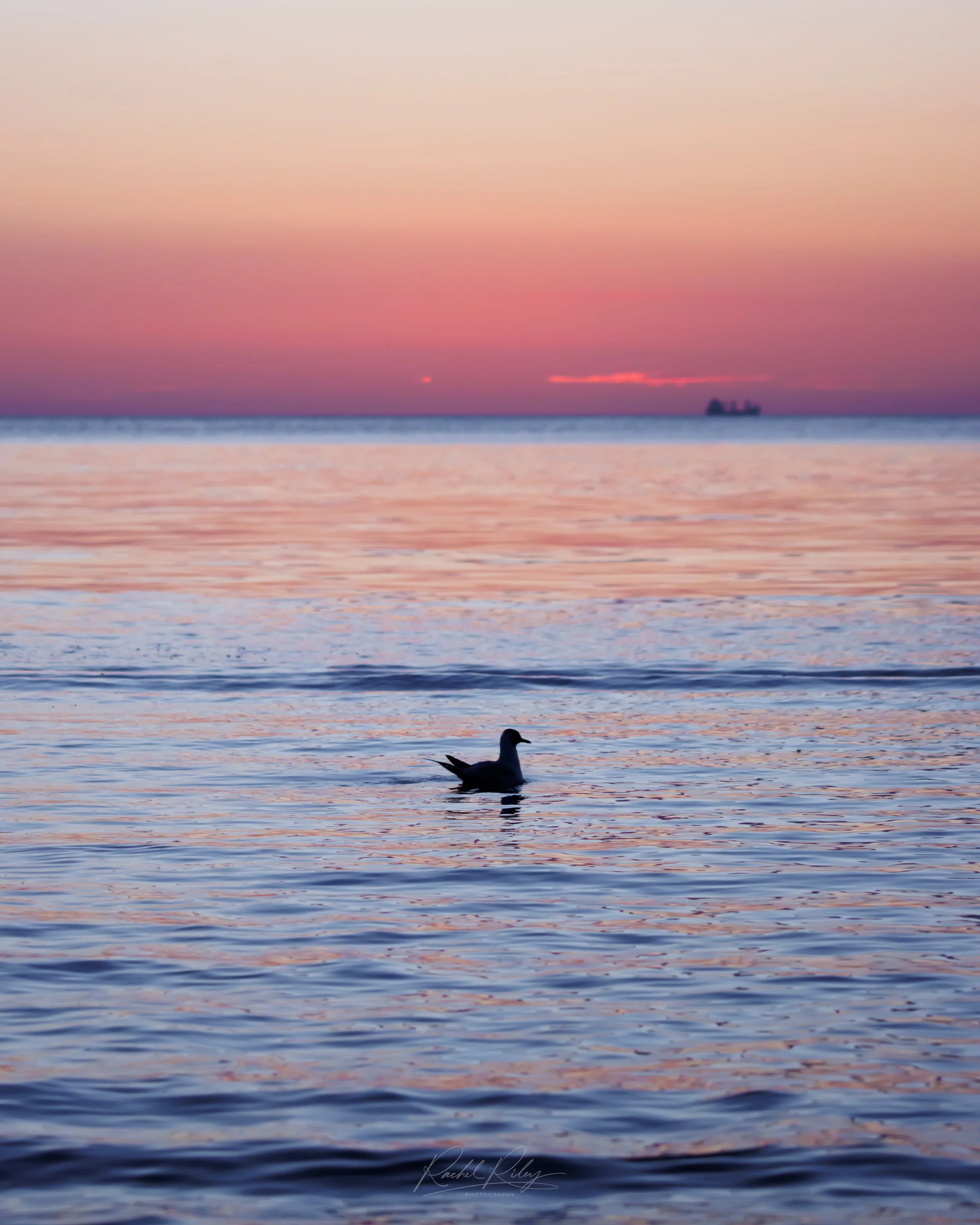 Cullercoats Bay, North Tyneside, UK