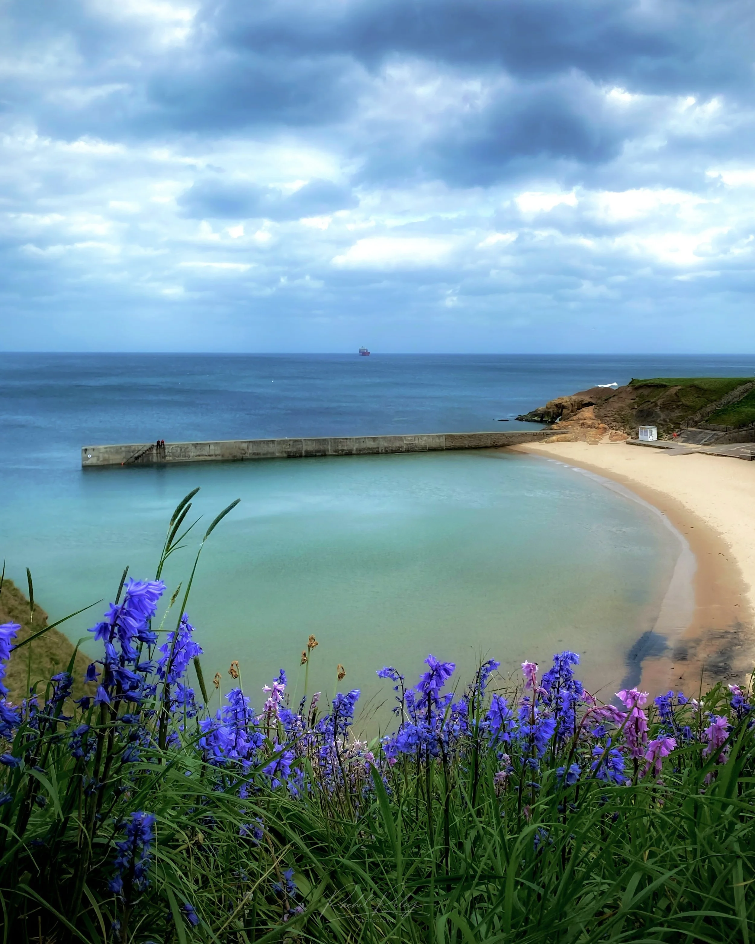 Cullercoats Bay, North Tyneside, UK