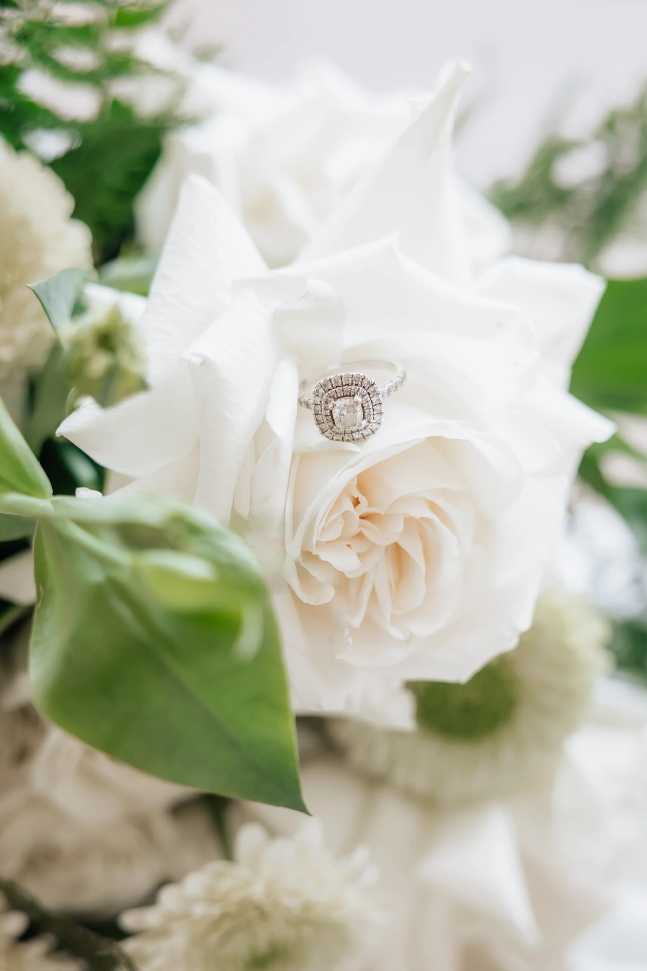 ERPhotography (92 of 1165).jpg