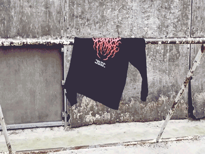 dd.gif (Copy)