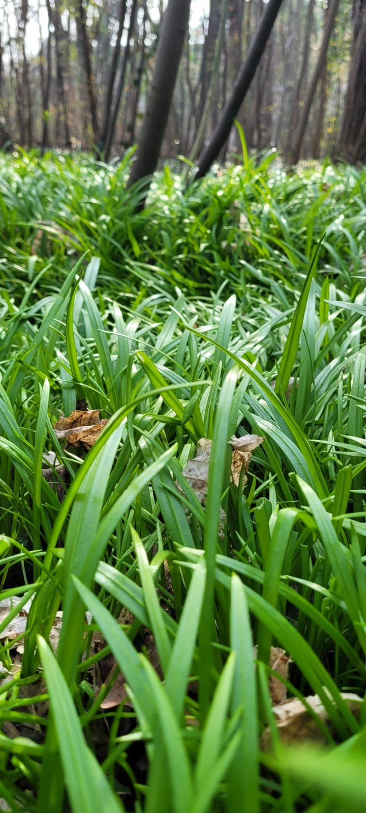 WhatsApp Image 2026-04-04 at 12.12.02 (2).jpeg