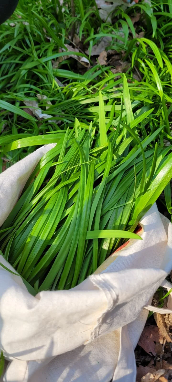 WhatsApp Image 2026-04-04 at 12.12.02 (1).jpeg