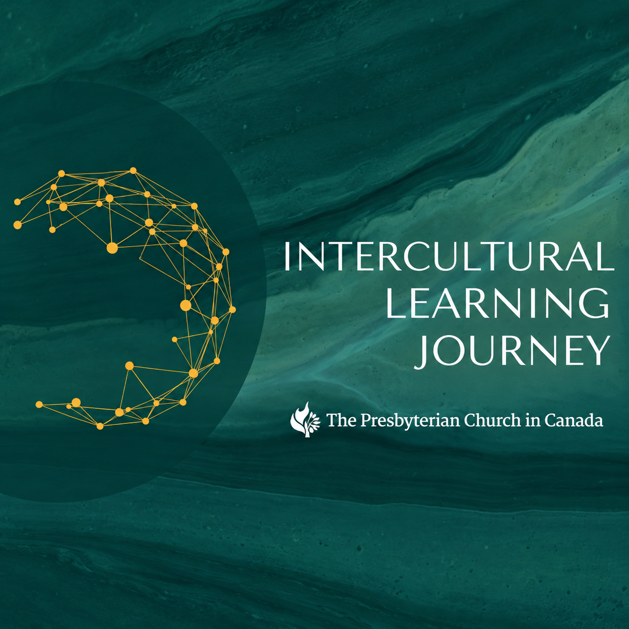 Becoming Intercultural: A 9-Week Online Course
