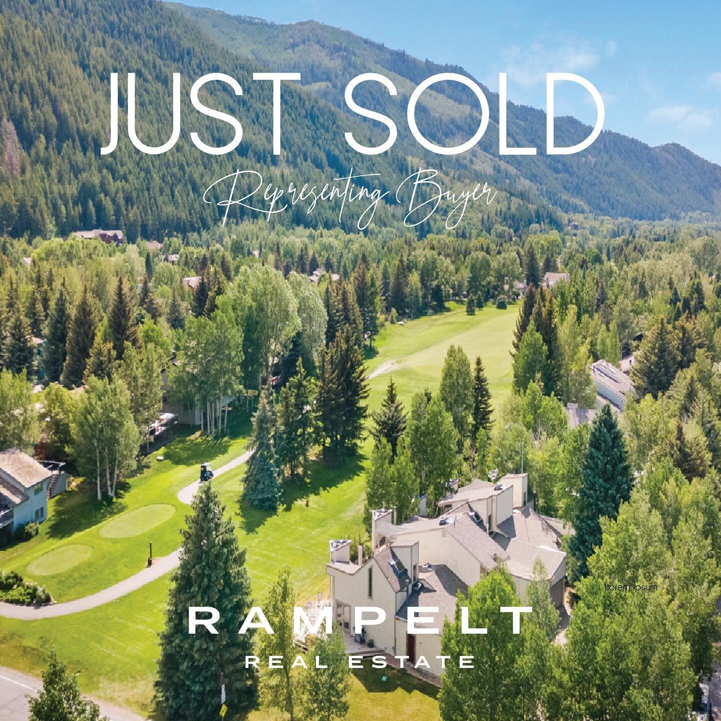 This one stung a little bit.

Each transaction comes with challenges. If this was easy, everyone would do it. Or at the least Buyers would not ask-for, or require representation.

My Buyers happened to be an awesome multi-generational family includin