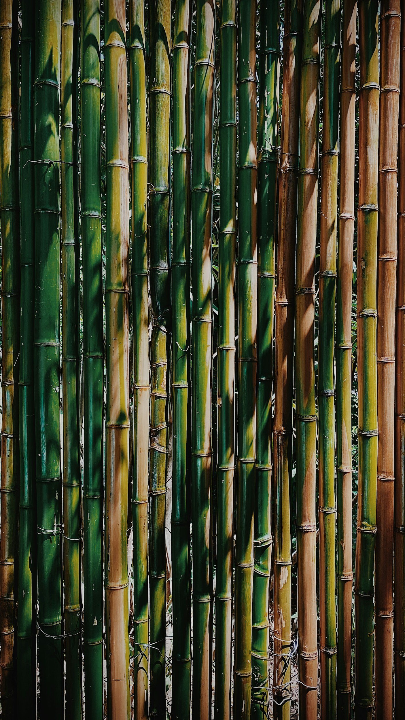 unsplash-image-QbDXTPCB4Q0.jpg