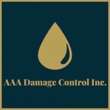 AAA damage control