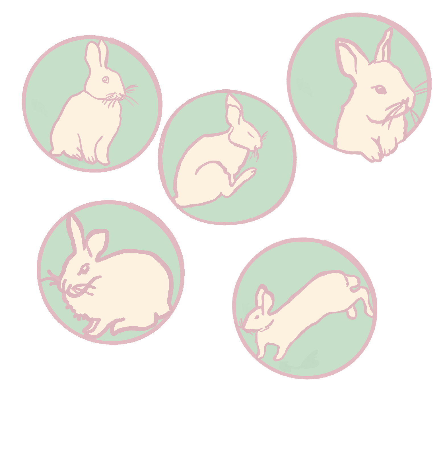 year of the rabbit.png