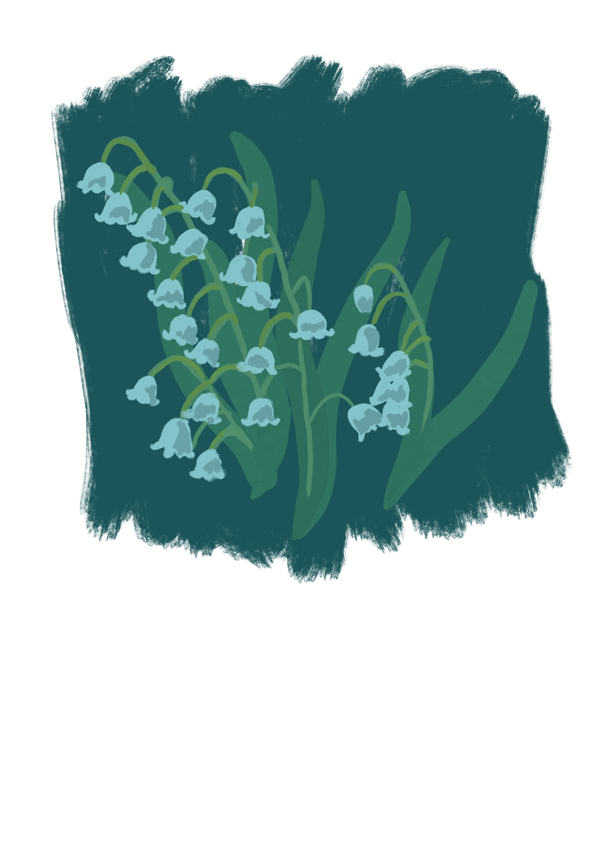 lily.png