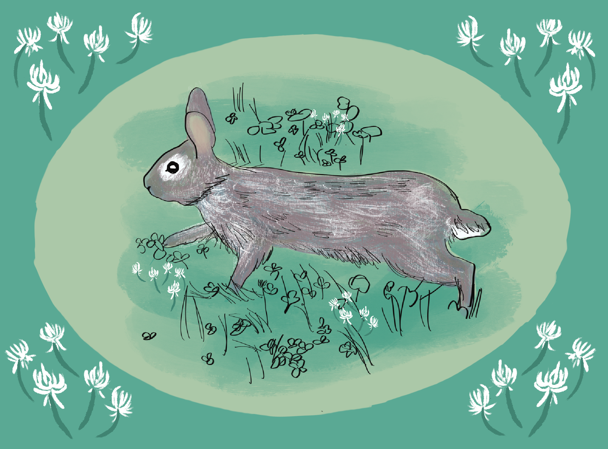 Dear Rabbit.png