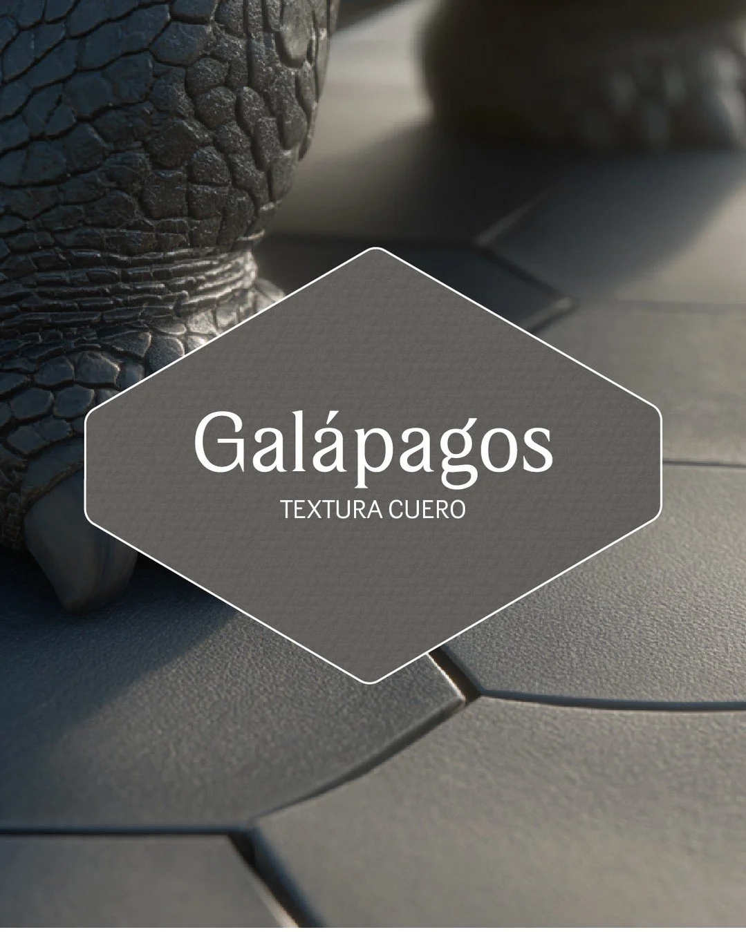 Galápagos: la estrella de esta colección.
Un color único, diseñado con AI, inspirado en las tortugas y las cenizas volcánicas.
✨ Nueva Colección 2026 – Tiempo de Sentir
#TiempoDeSentir #NuevaCo