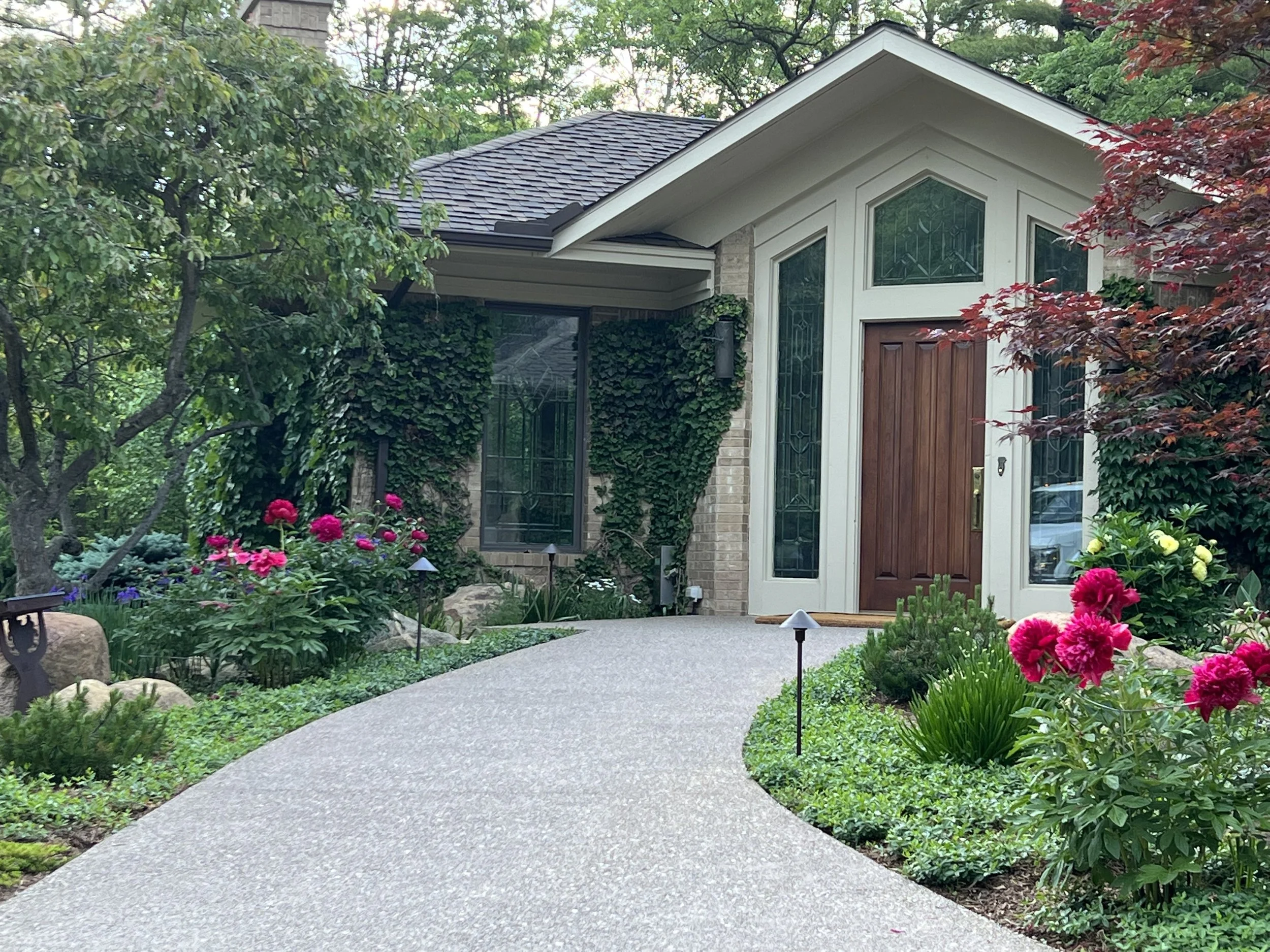 Stone path leading to front door, flanked by bright pink flowering bushes
