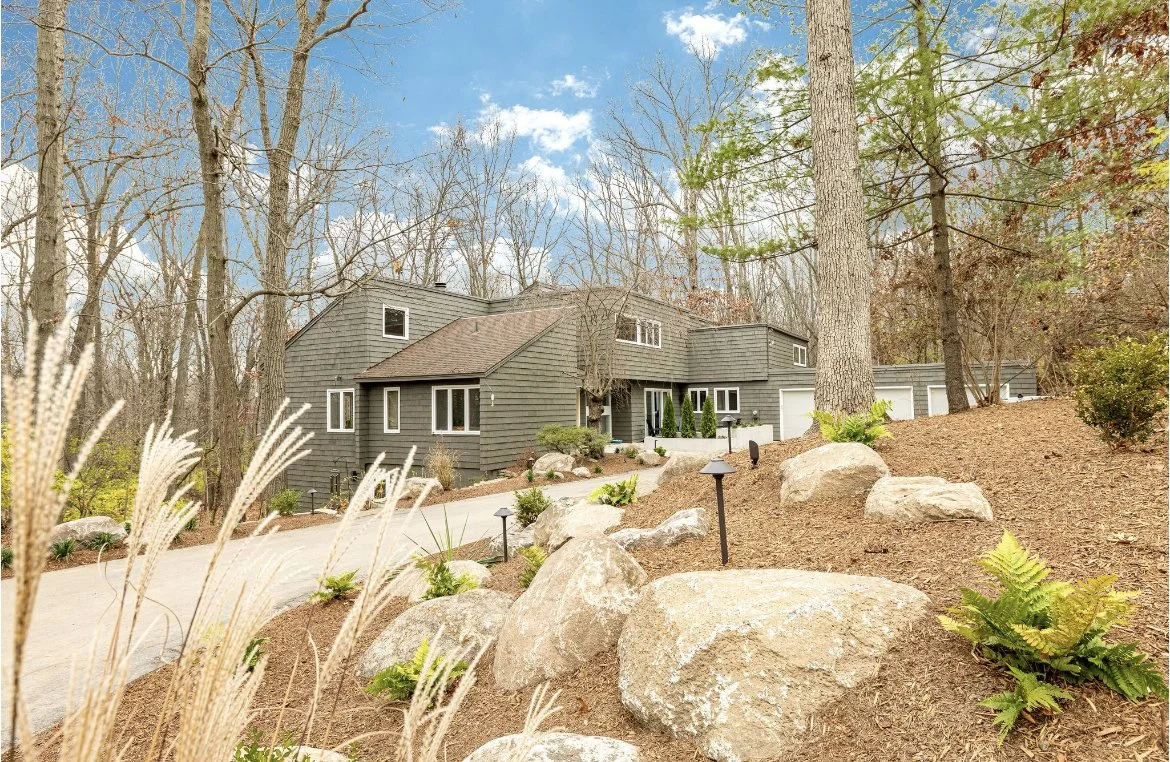 Large boulders and ferns in a landscape