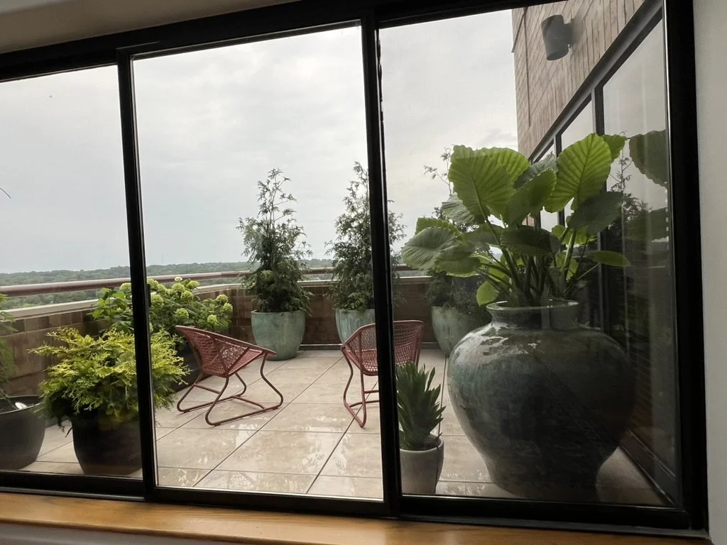 Patio with many potted plants of various sizes