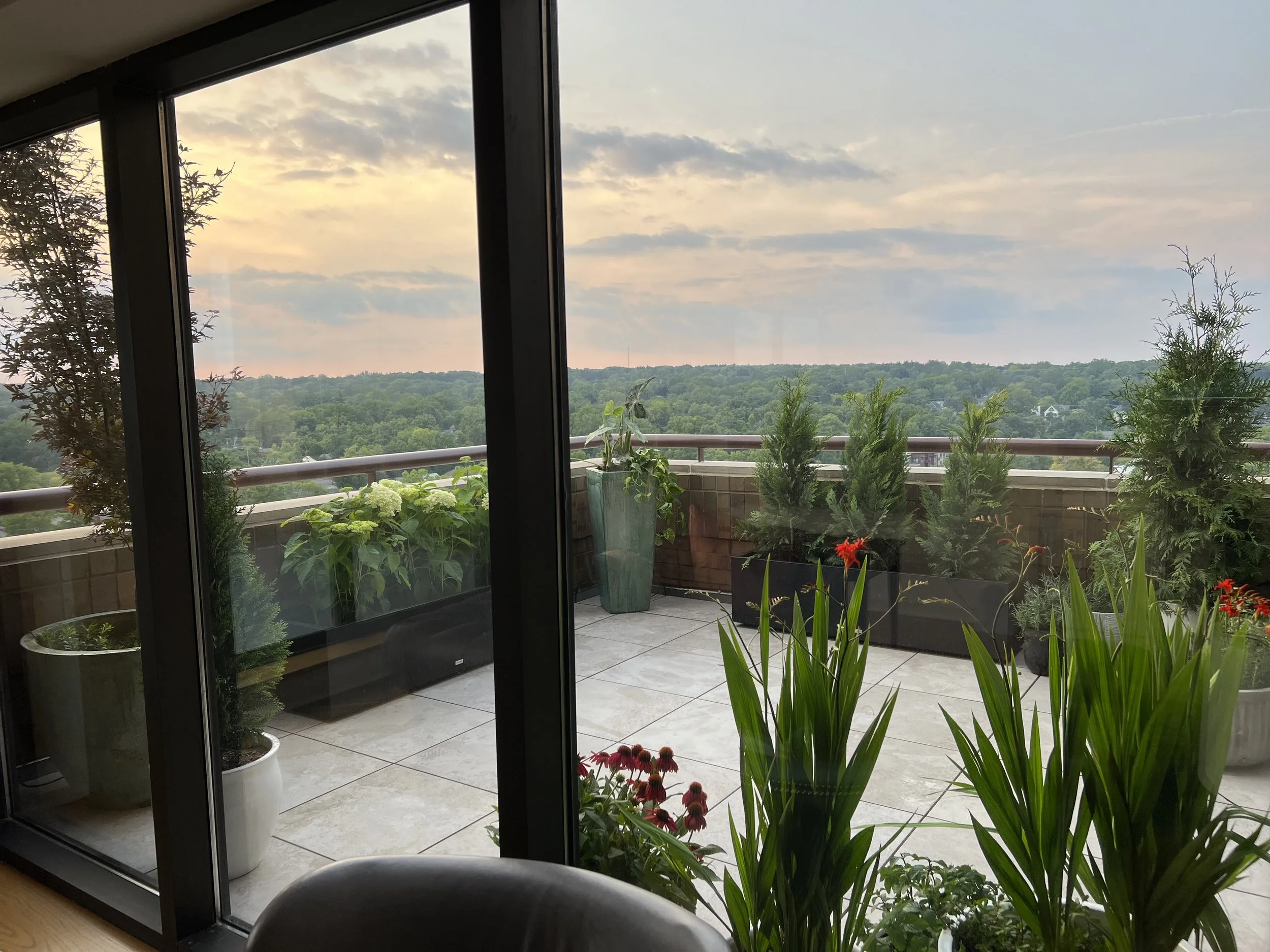 Patio with many potted plants of various sizes
