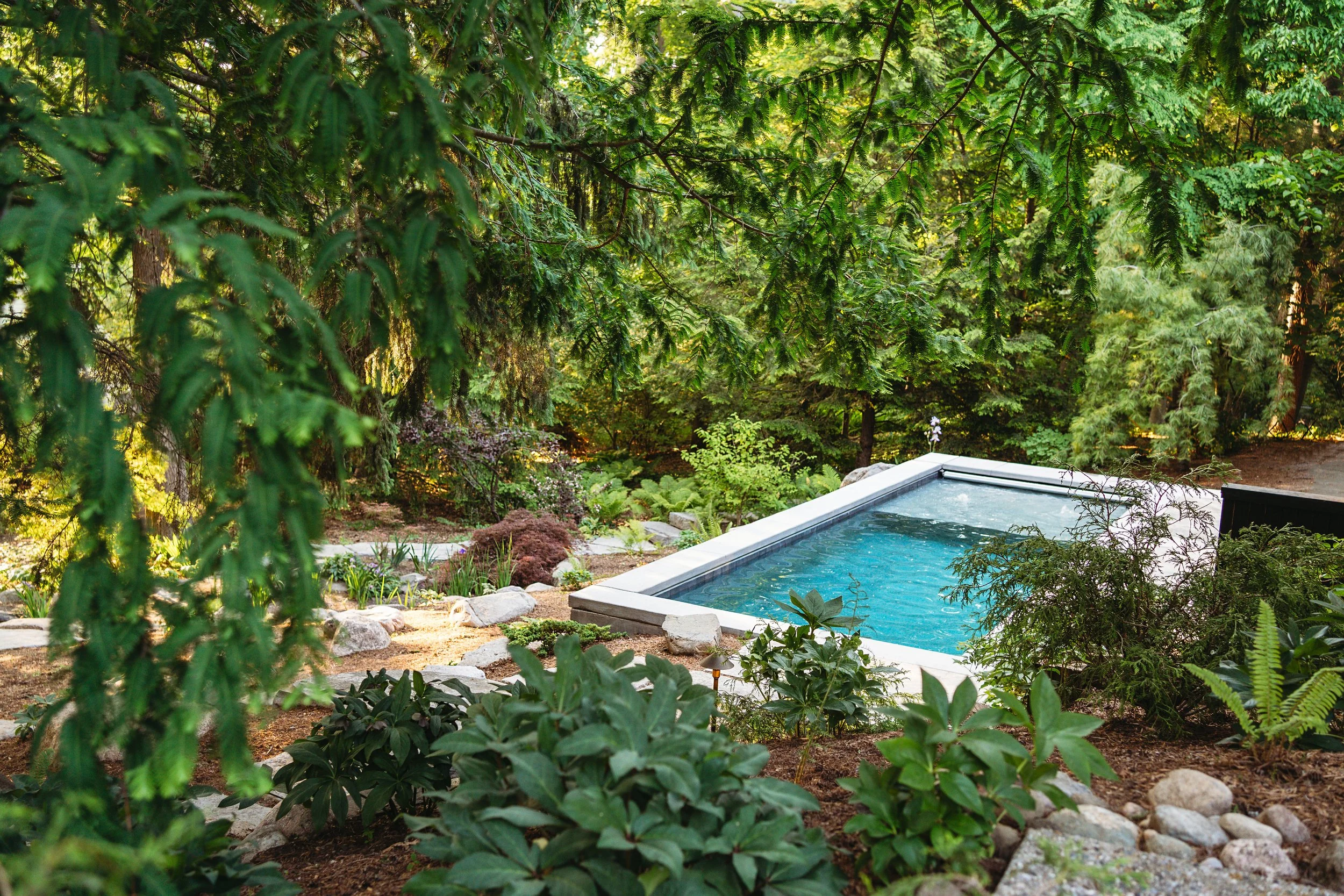 Custom pool surrounded by landscaping