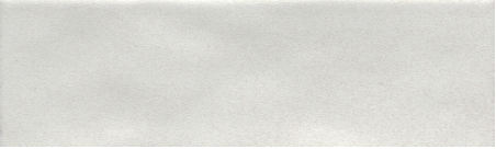 BS PASSION BLANCO.PNG