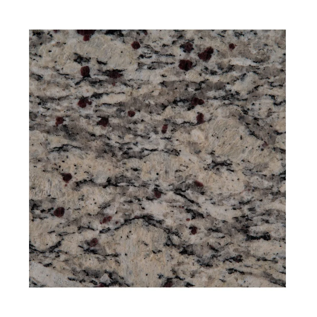 SANTA CECELIA LC.jpeg