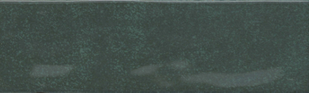 BS PASSION VERDE.PNG