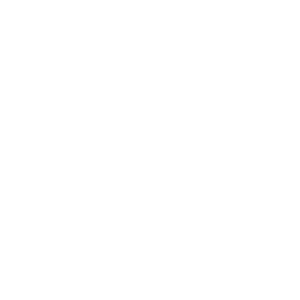 Icono-BLANCO.png