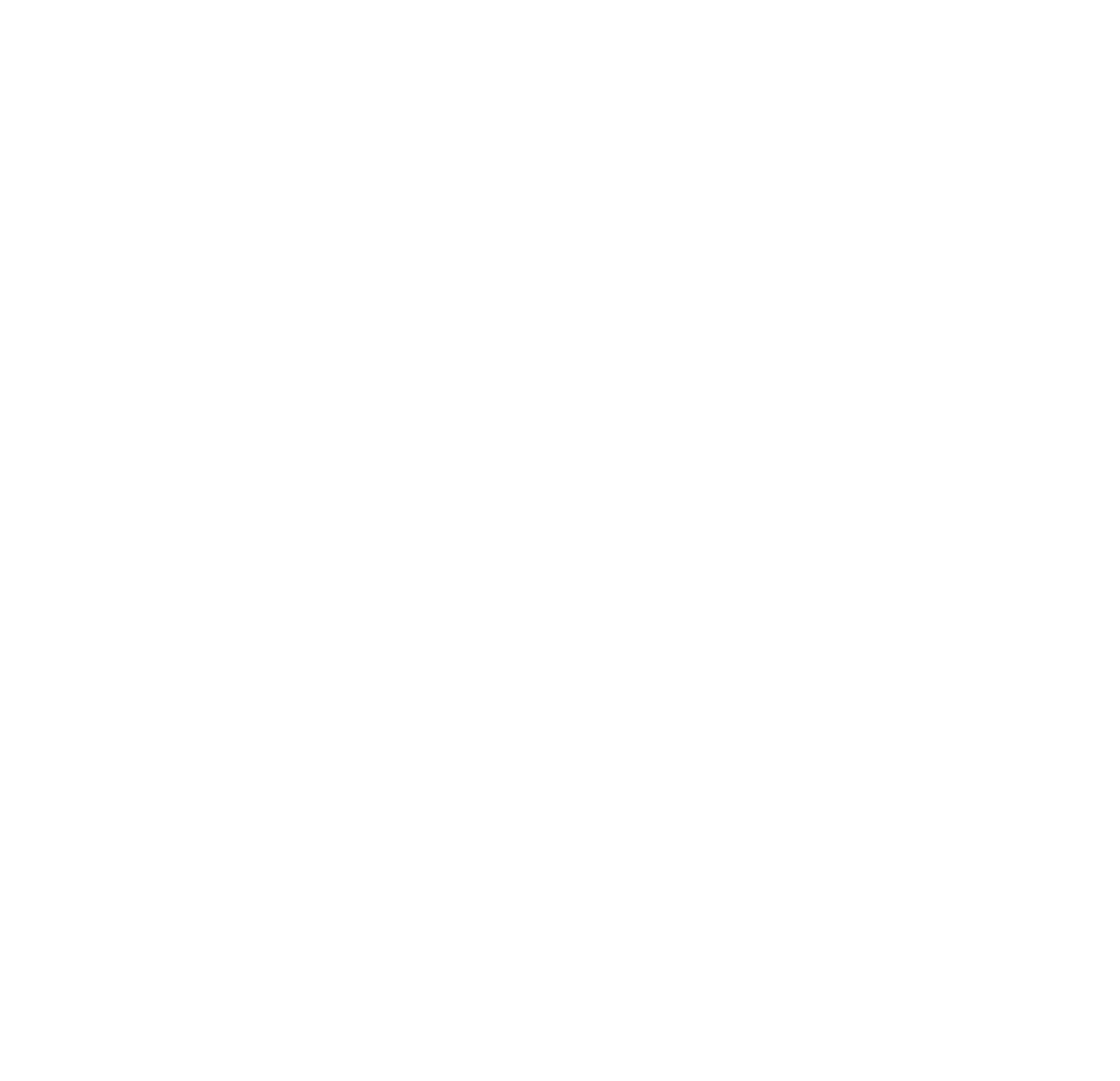 About Us — IronKey Insurance Services