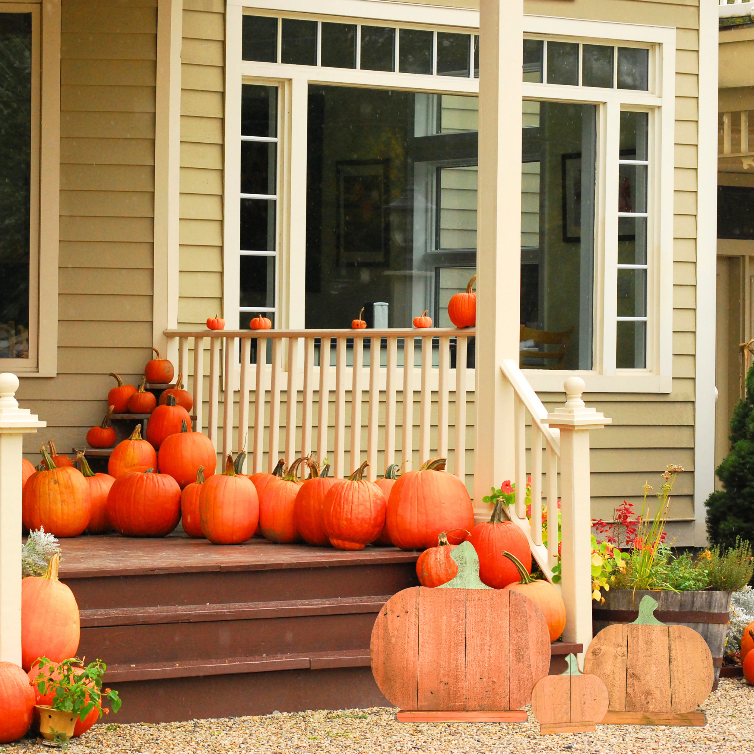 HERO IMAGES Autumn Products(19).png
