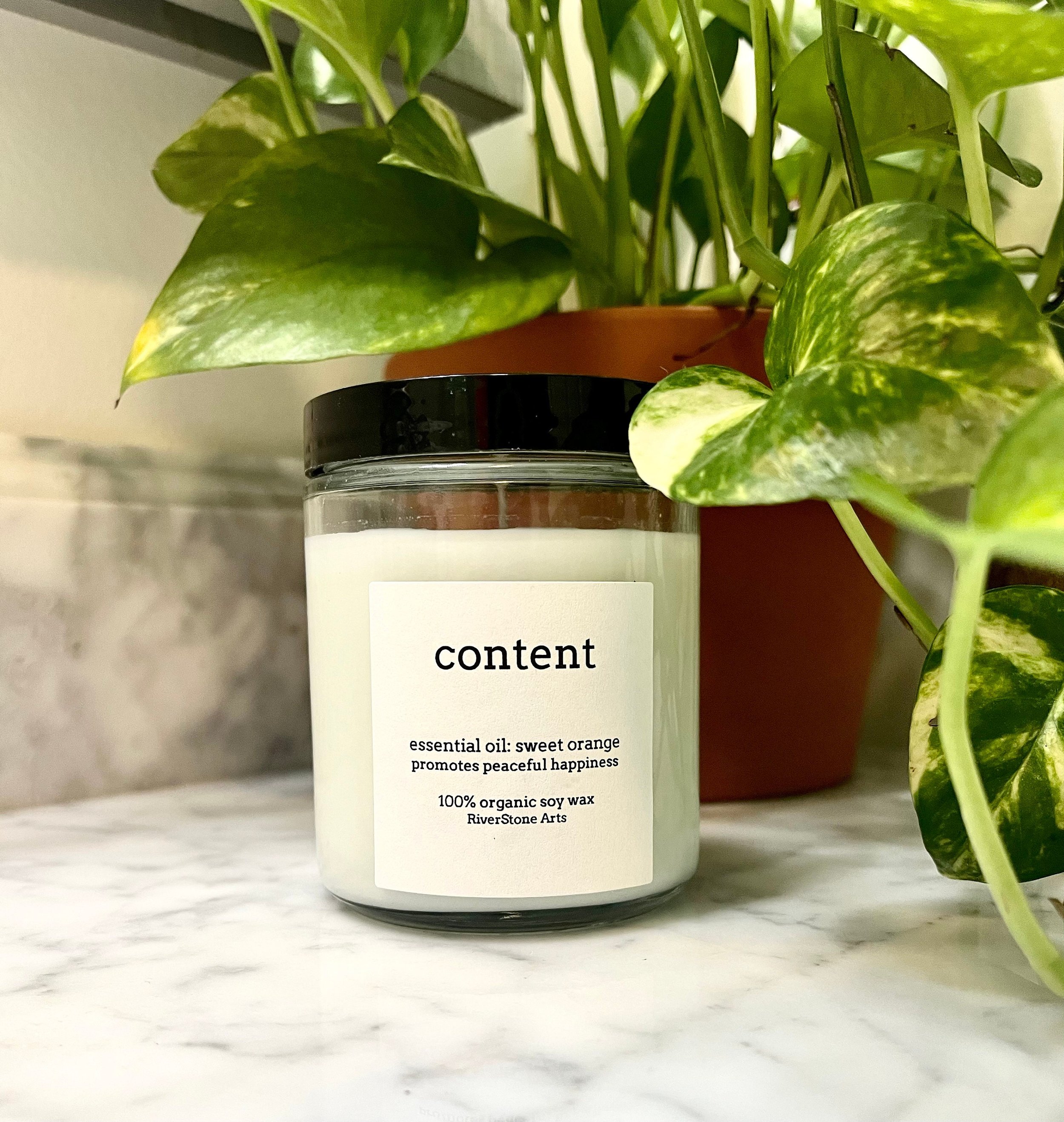 https://i.etsystatic.com/44074306/r/il/bafda9/5046573331/il_fullxfull.5046573331_j32u.jpg