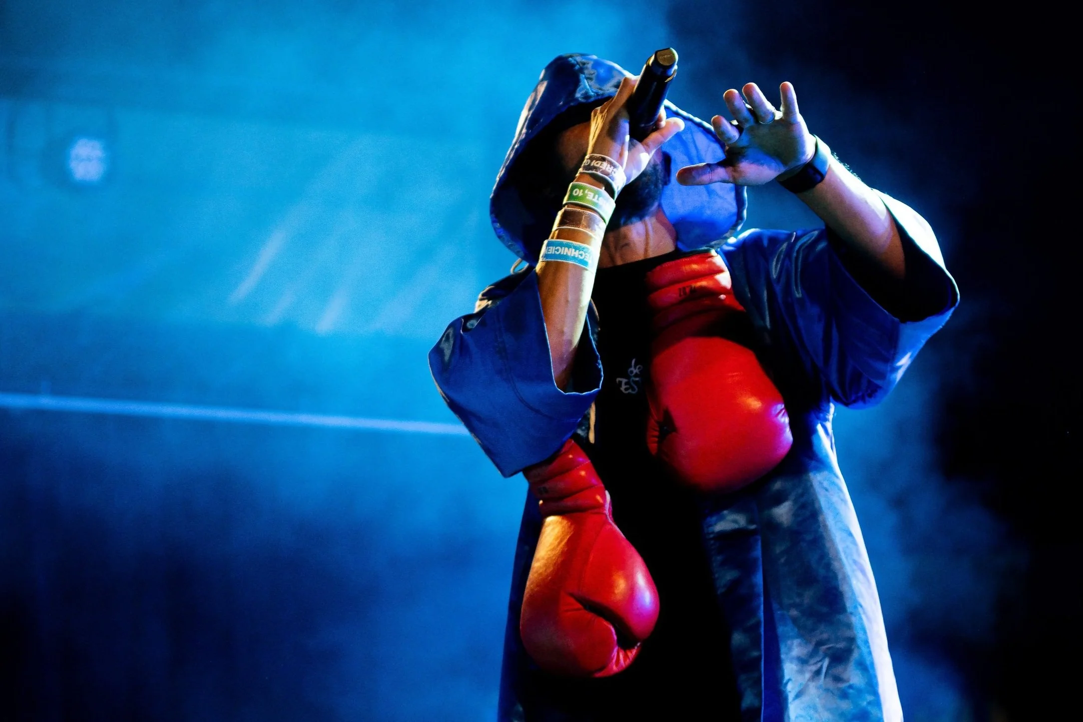 DEMI FESTIVAL 2024 ©Remos Prod  (131).jpg