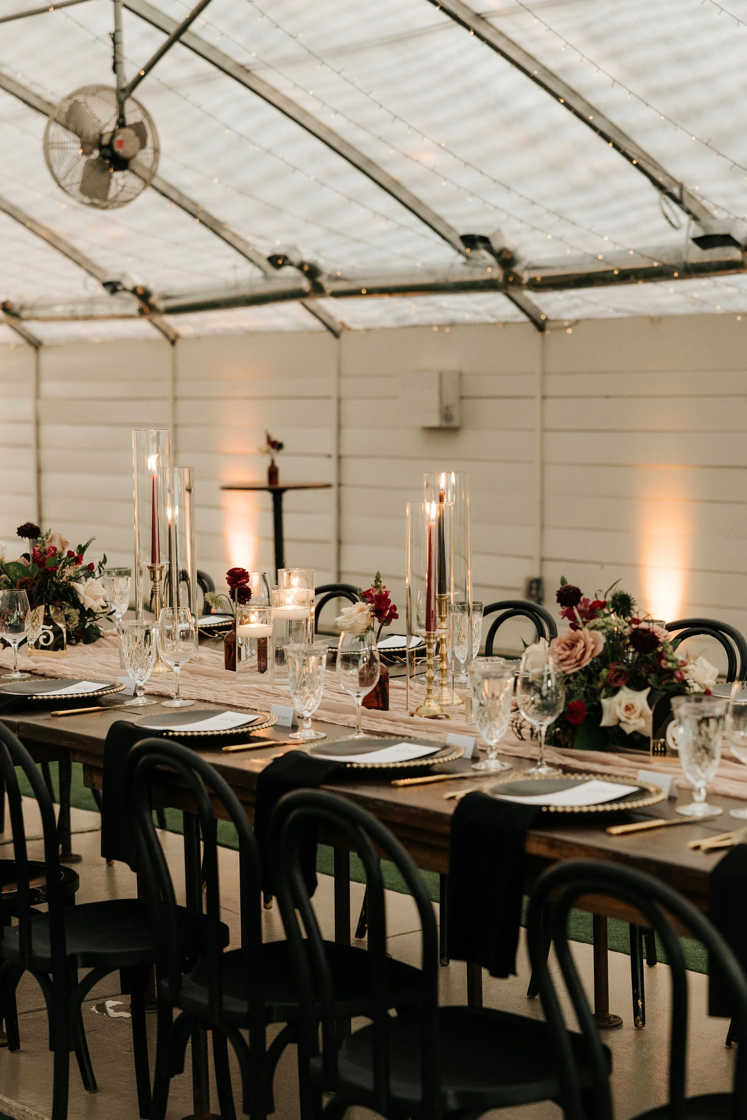 Photo by Tim Laielli