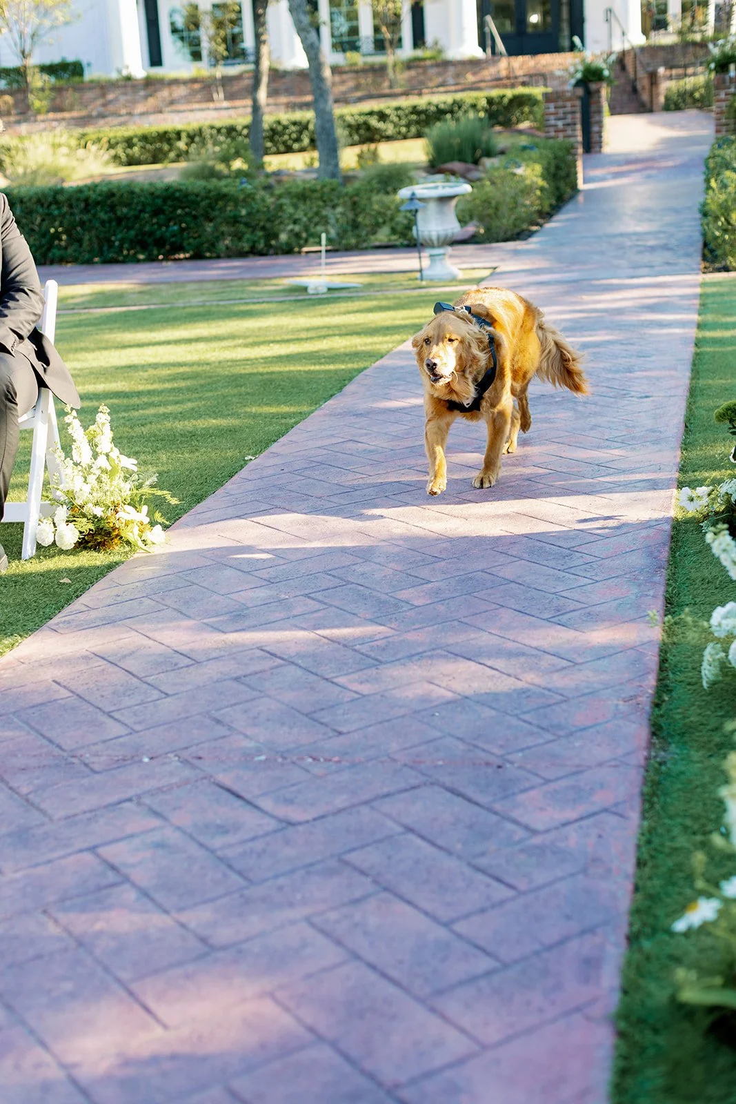 Mann Wedding Sneaks_Lacey McNiel Photo-70.jpg