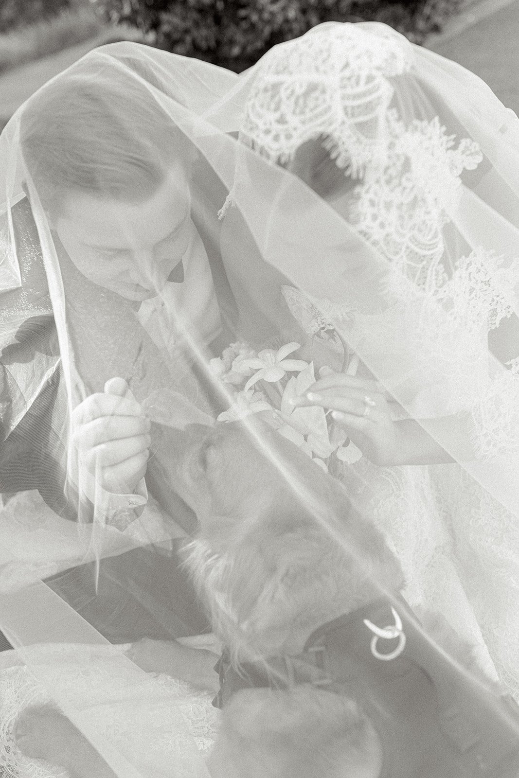 Mann Wedding Sneaks_Lacey McNiel Photo-124.jpg