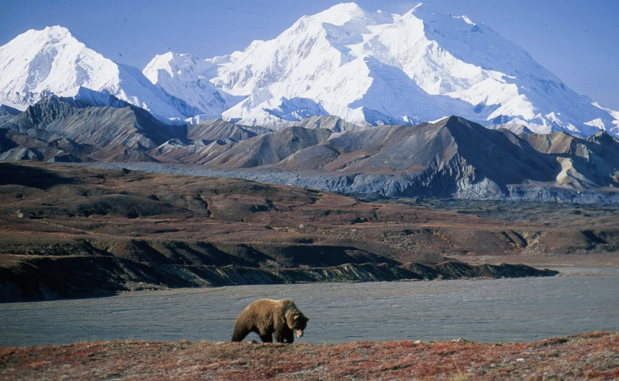 Alaska Alumni Backpacking Trip