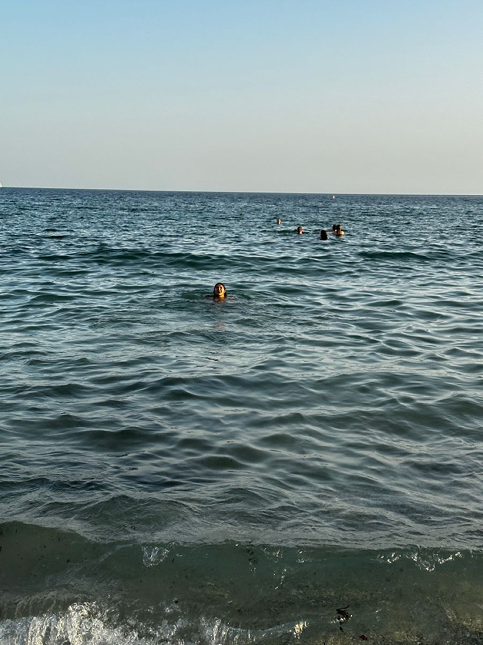 ppl swimming summer.png