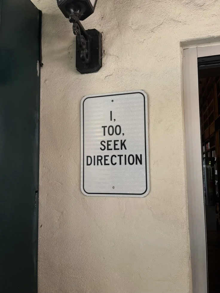 i too seek direction.jpg