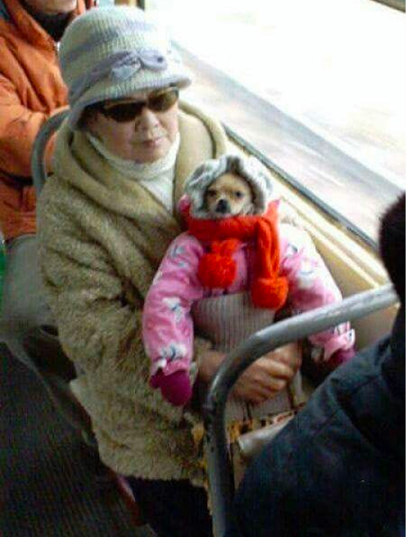 going somewhere.png