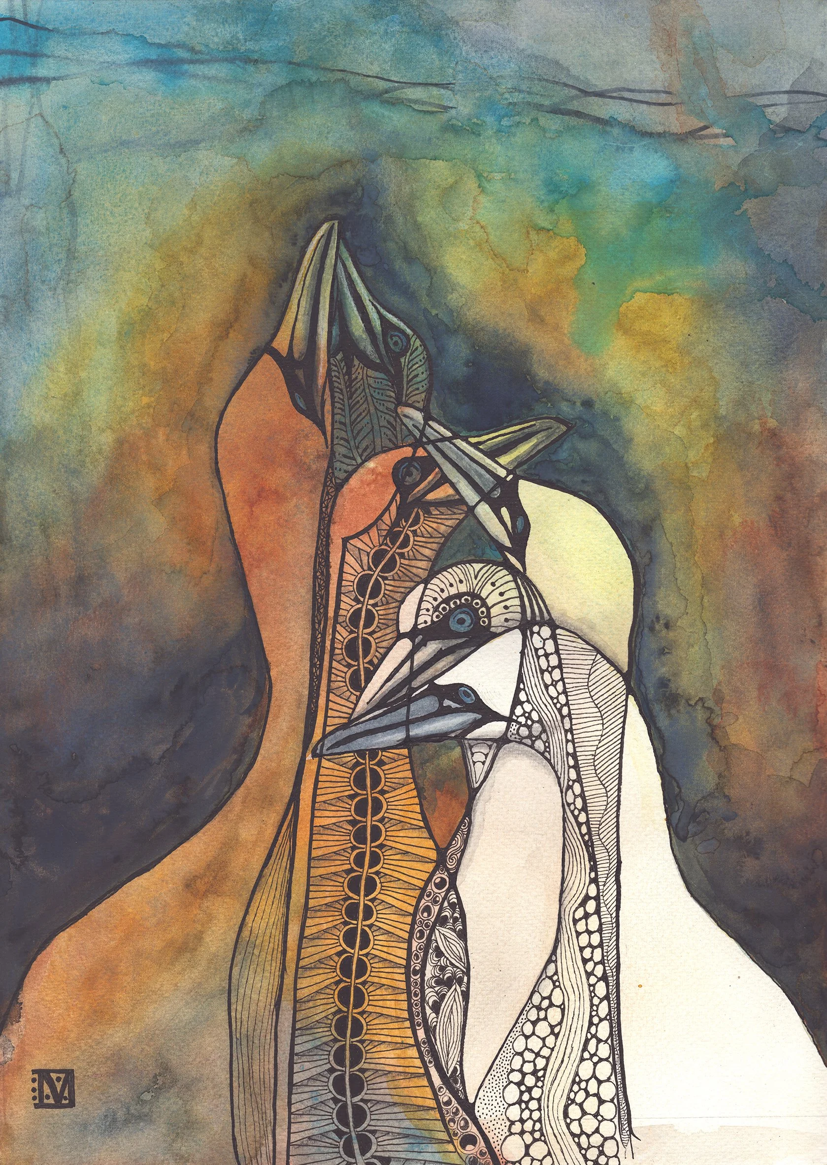 Gannets