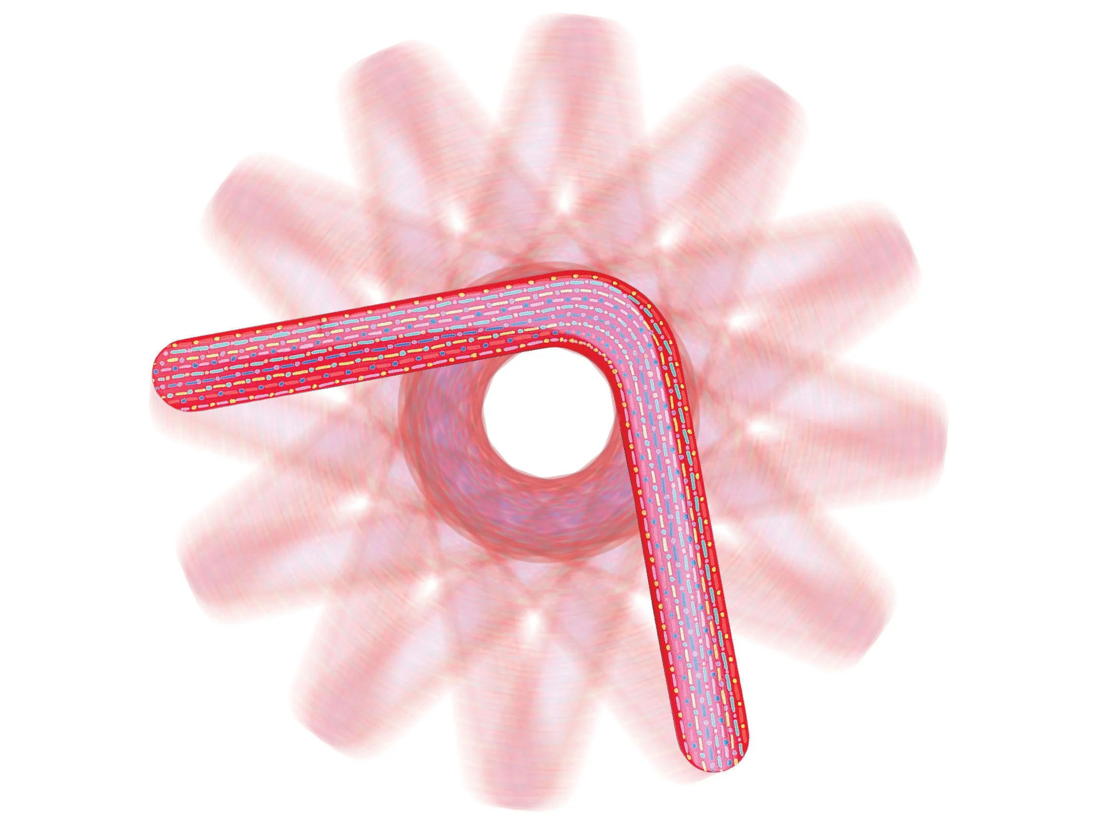 DIT DOT spinner.jpg