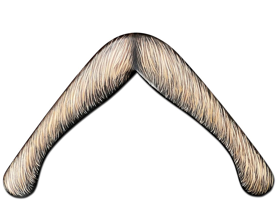 Flying Mustache